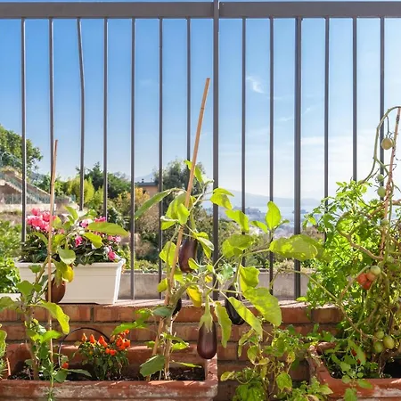 Apartment Casa Rosa - Sea View & Terrace Naples